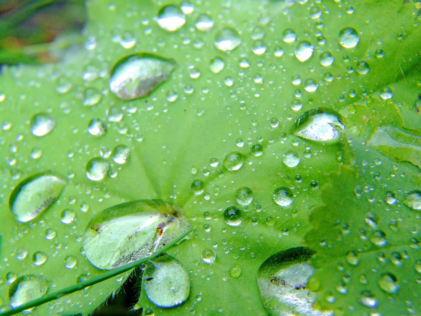 The Best Natural and Organic Lubes: Clean Picks Ranked